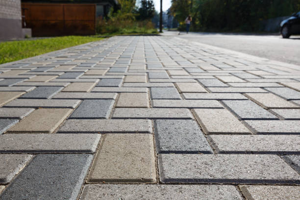 Best Driveway Repair Near Me  in Camanche, IA
