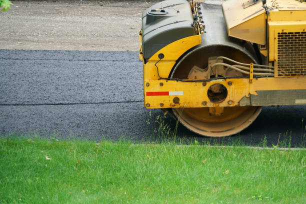 Best Local Driveway Pavers  in Camanche, IA